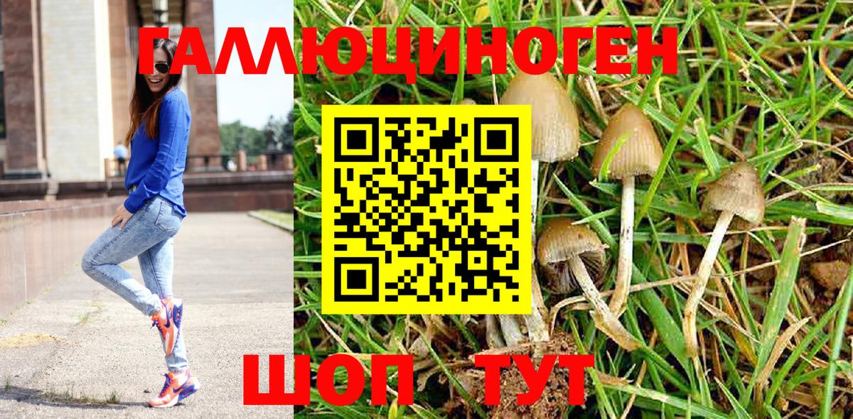 Мурино  Псилоцибиновые грибы мухоморы  Вход с VPN 